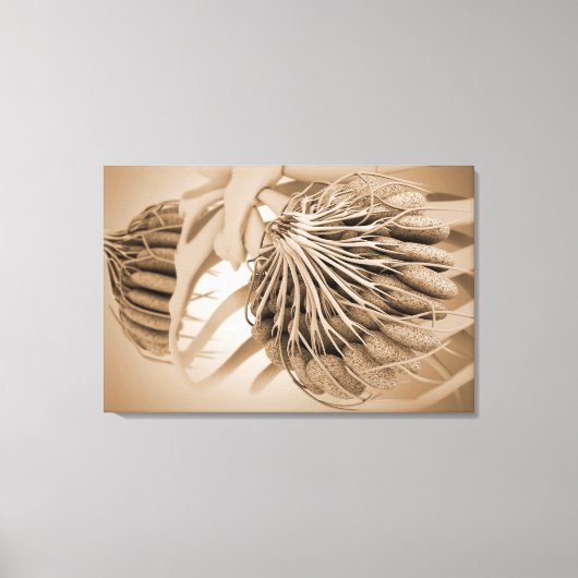 女性乳房解剖学の概念像5 キャンバスプリント (正面)