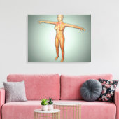 女性動脈・静脈・神経系 キャンバスプリント (インサイチュ (リビング))