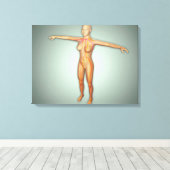 女性動脈・静脈・神経系 キャンバスプリント (インサイチュ (ウッドフロア))