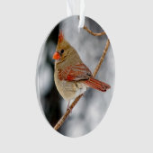 女性北部（鳥）ショウジョウコウカンチョウアクリルオーナメント オーナメント (正面)