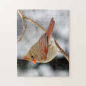 女性北部(鳥)ショウジョウコウカンチョウパズル ジグソーパズル (縦)