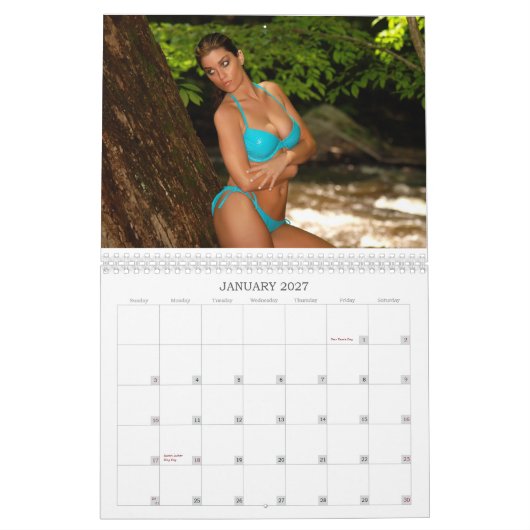 女性及び水腎臓の慈善のカレンダー カレンダー (1月 2027)