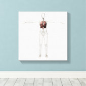 女性呼吸器系の3次元像 キャンバスプリント (インサイチュ (ウッドフロア))