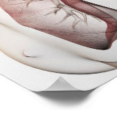 女性呼吸器系の3Dビュー1 ポスター (角)