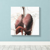 女性呼吸器系3Dビュー キャンバスプリント (インサイチュ (ウッドフロア))