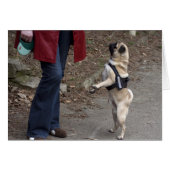 女性器 (正面横)