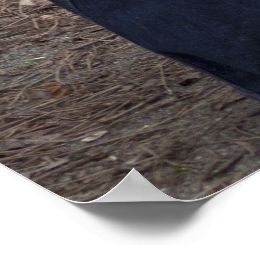 女性器 ポスター (角)