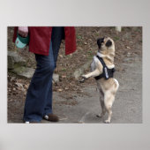 女性器 ポスター (正面)