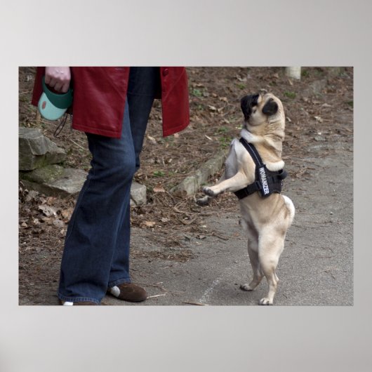 女性器 ポスター (正面)