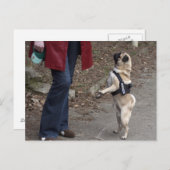 女性器 ポストカード (正面/裏面)