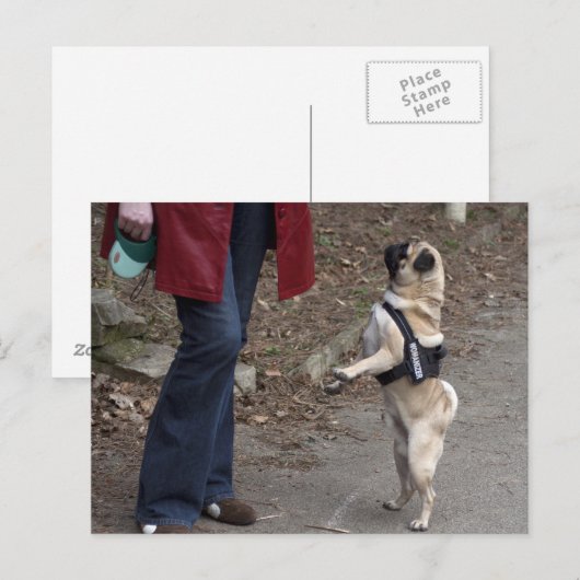 女性器 ポストカード (正面/裏面)