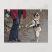 女性器 ポストカード (正面)