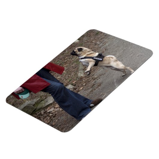 女性器 マグネット (左側)