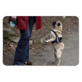 女性器 マグネット (横)