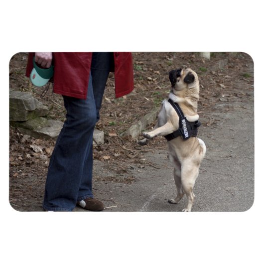 女性器 マグネット (横)