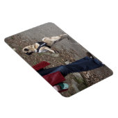 女性器 マグネット (右側)