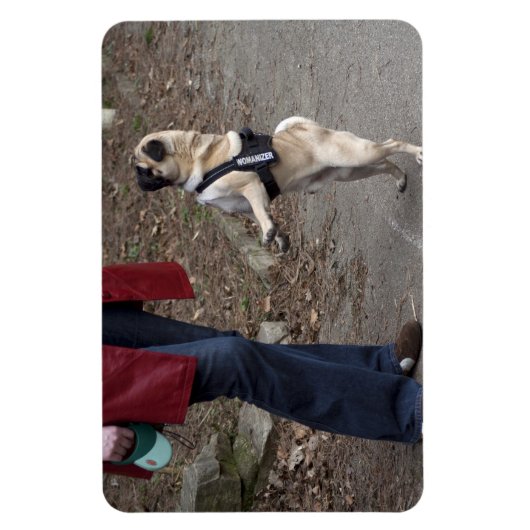 女性器 マグネット (縦)