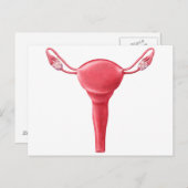 女性子宮解剖学2 ポストカード (正面/裏面)