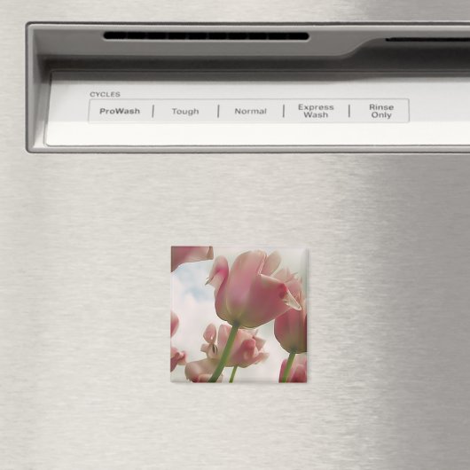 女性性 マグネット (インサイチュ (食洗機))