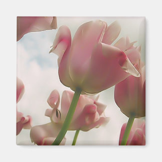 女性性 マグネット