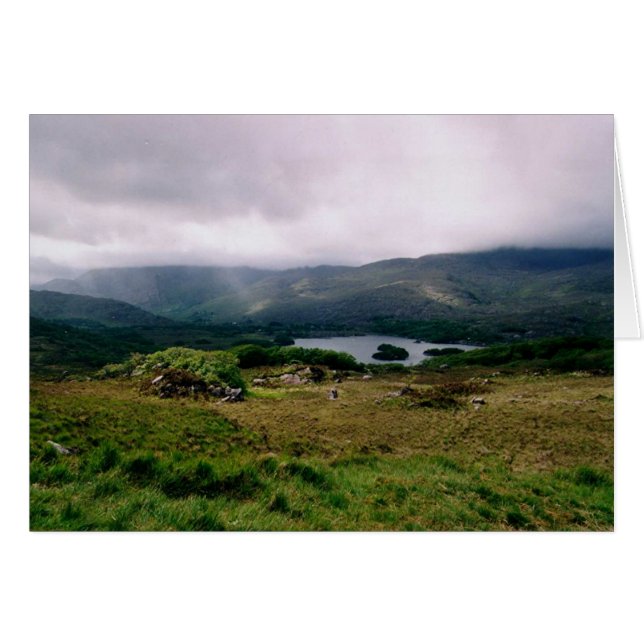 女性意見 (正面横)