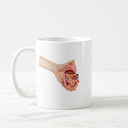 女性手は人間の腎臓のモデルを握ります コーヒーマグカップ (左)