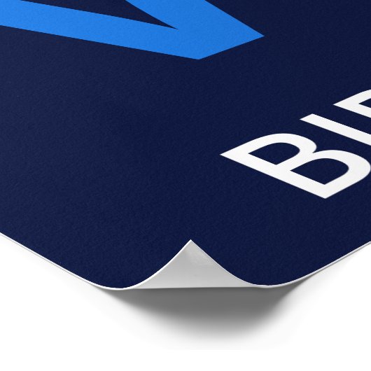 女性扱いにく投票II ポスター (角)