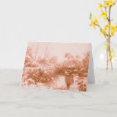 女性木採集 カード (黄色い花)