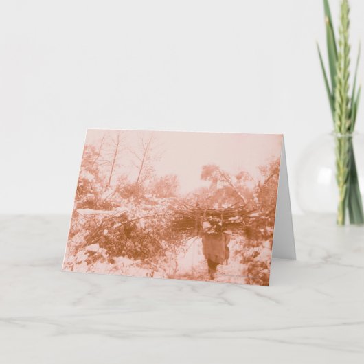 女性木採集 カード (正面)