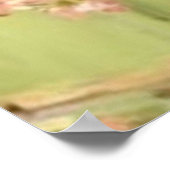 女性歩くさくらんぼの木々の下で晴れた日 ポスター (角)