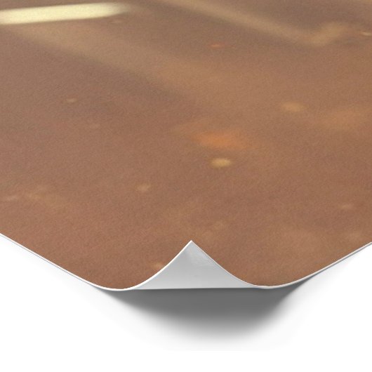 女性歩く犬を未来の街に ポスター (角)