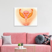 女性生殖器の医学的イラストレーション1 キャンバスプリント (インサイチュ (リビング))