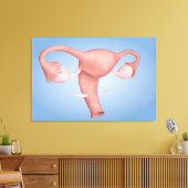 女性生殖器の概念像1 キャンバスプリント (インサイチュ (リビング))