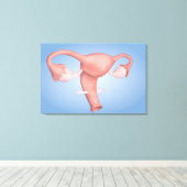 女性生殖器の概念像1 キャンバスプリント (インサイチュ (ウッドフロア))