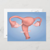 女性生殖器の概念像1 ポストカード (正面/裏面)