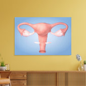 女性生殖器の概念像2 キャンバスプリント (インサイチュ (リビング))