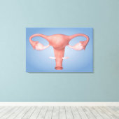 女性生殖器の概念像2 キャンバスプリント (インサイチュ (ウッドフロア))