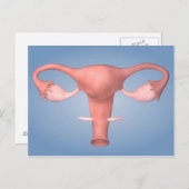 女性生殖器の概念像2 ポストカード (正面/裏面)