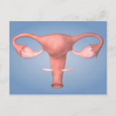 女性生殖器の概念像2 ポストカード (正面)