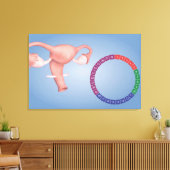 女性生殖器の概念像3 キャンバスプリント (インサイチュ (リビング))