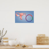 女性生殖器の概念像3 ポスター (キッチン)