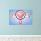 女性生殖器の概念像4 キャンバスプリント (インサイチュ (ウッドフロア))