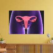 女性生殖器、X線ビュー1 キャンバスプリント (インサイチュ (リビング))