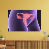 女性生殖器、X線ビュー2 キャンバスプリント (インサイチュ (リビング))