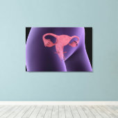 女性生殖器、X線ビュー2 キャンバスプリント (インサイチュ (ウッドフロア))