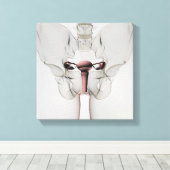 女性生殖系の3次元像 キャンバスプリント (インサイチュ (ウッドフロア))