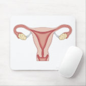 女性生殖系2 マウスパッド (マウス)