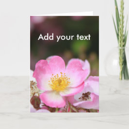 女性用のかわいらしピンク色の野生のバラの花 シーズンカード