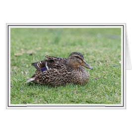 女性用マラルドのポートレート