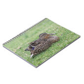 女性用マラルドのポートレート ノートブック (左側)